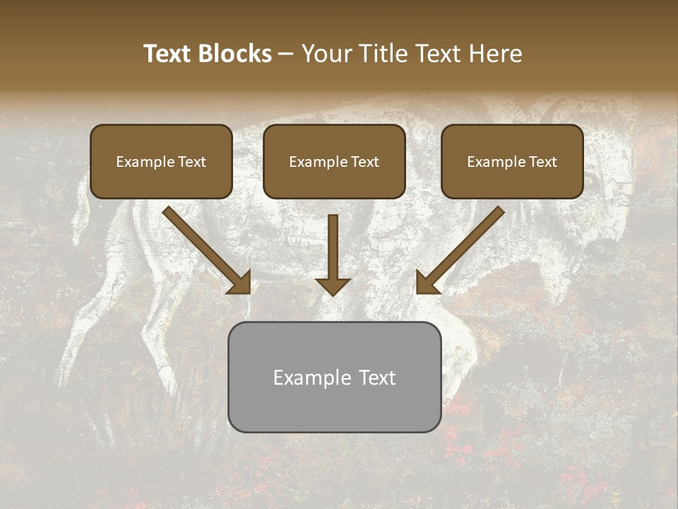Artifact Rock Art Pictograph PowerPoint Template