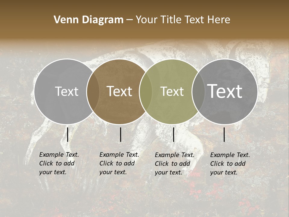Artifact Rock Art Pictograph PowerPoint Template
