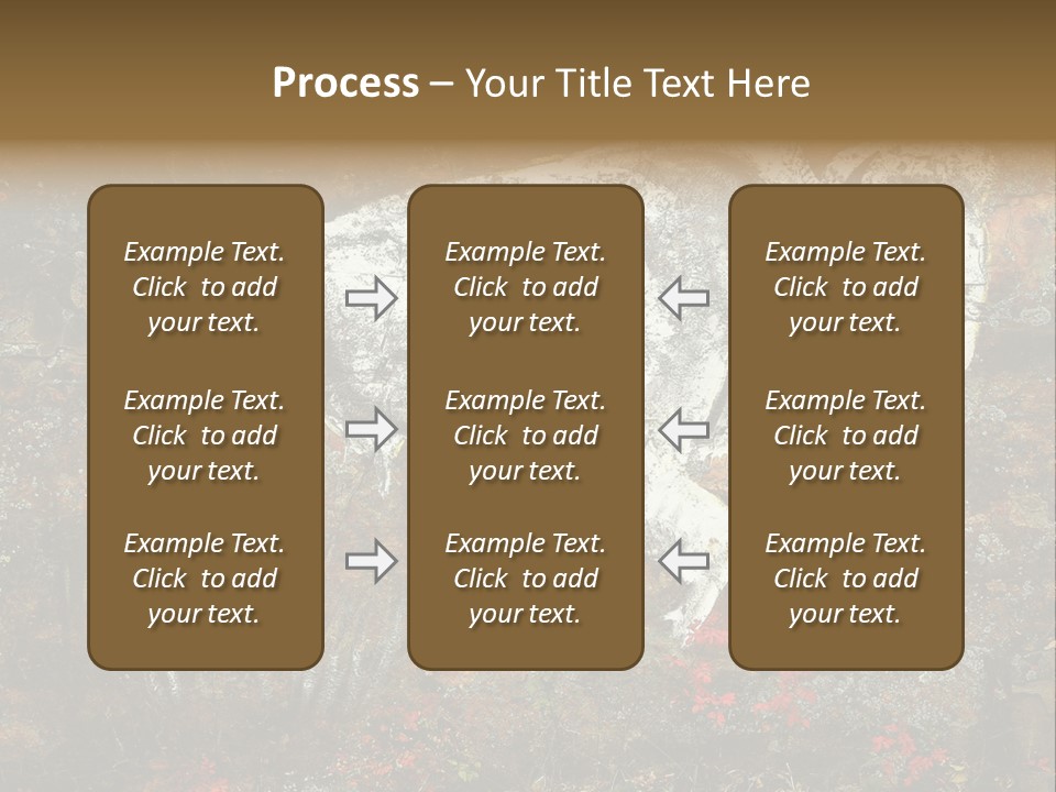 Artifact Rock Art Pictograph PowerPoint Template