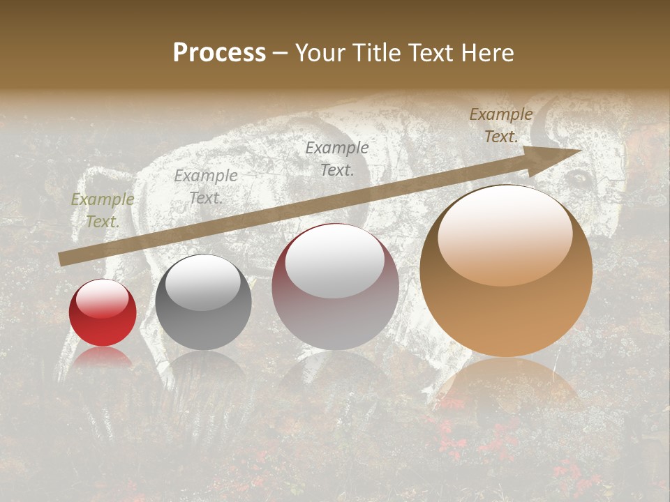 Artifact Rock Art Pictograph PowerPoint Template