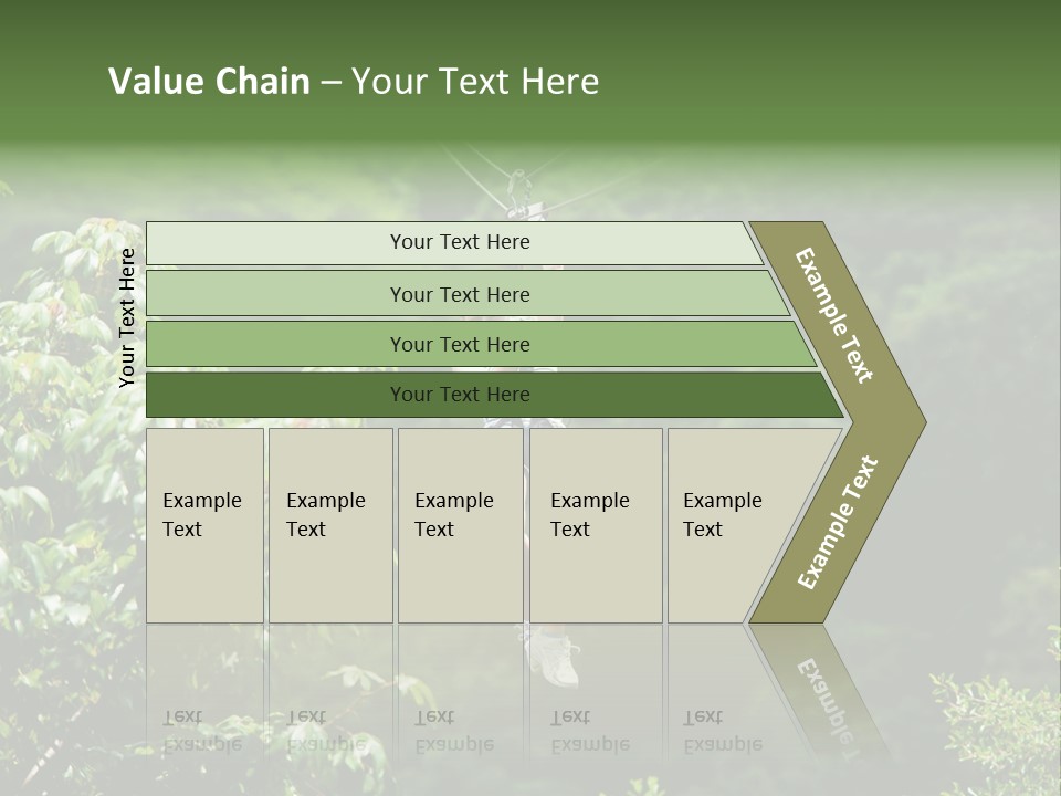 Costa Zipwire Aerial PowerPoint Template