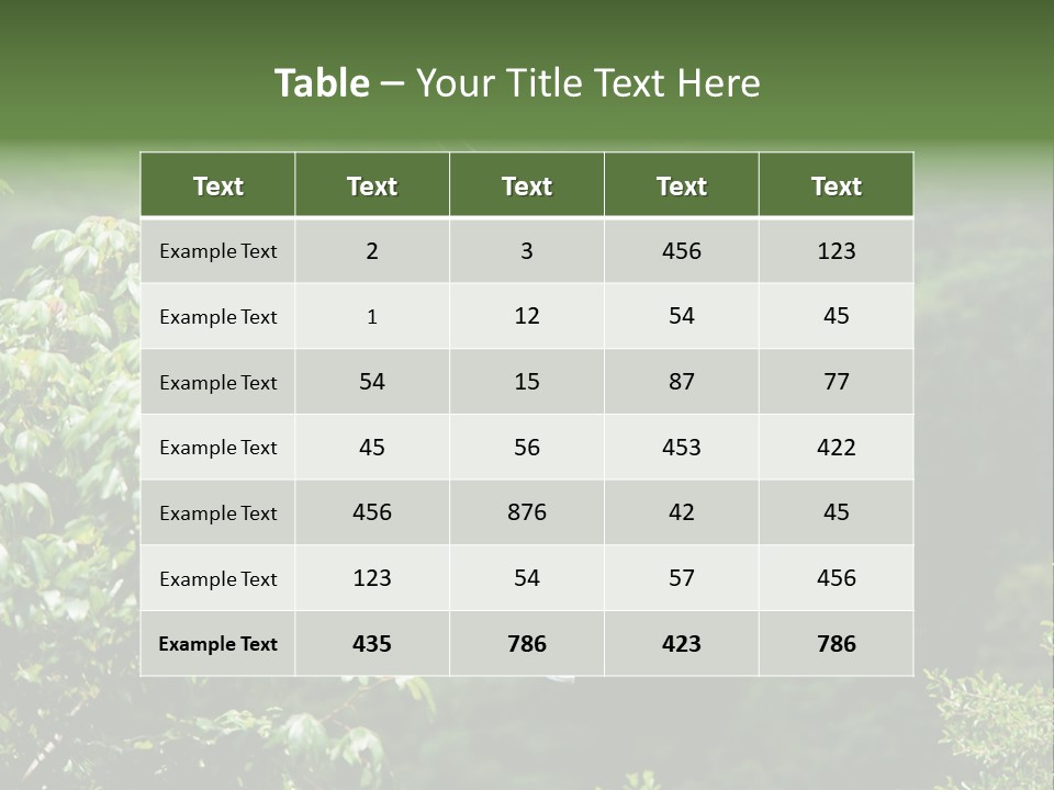 Costa Zipwire Aerial PowerPoint Template