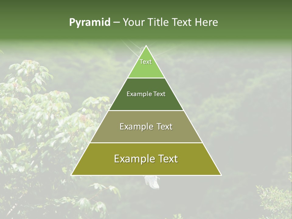 Costa Zipwire Aerial PowerPoint Template