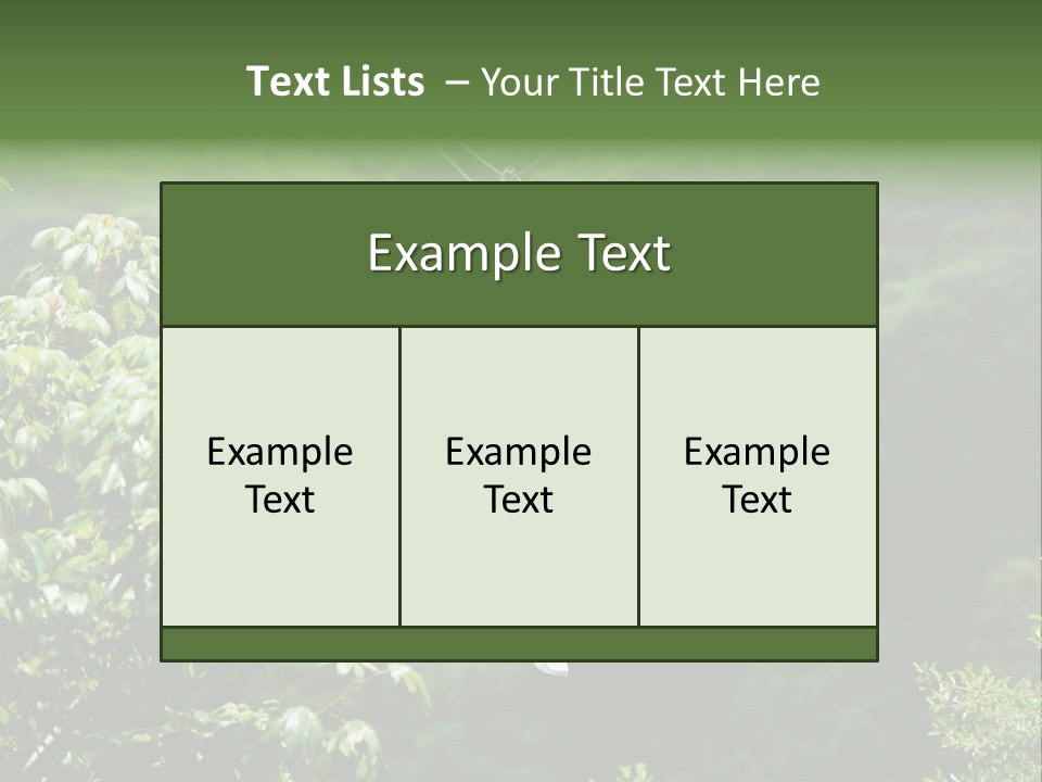 Costa Zipwire Aerial PowerPoint Template