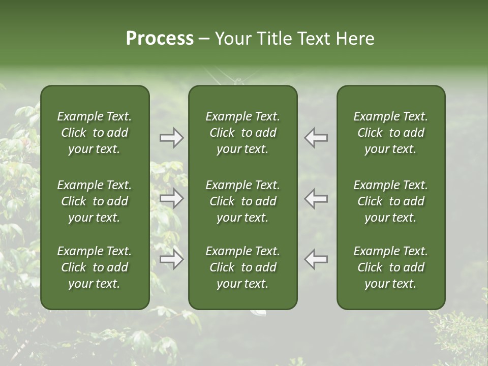 Costa Zipwire Aerial PowerPoint Template