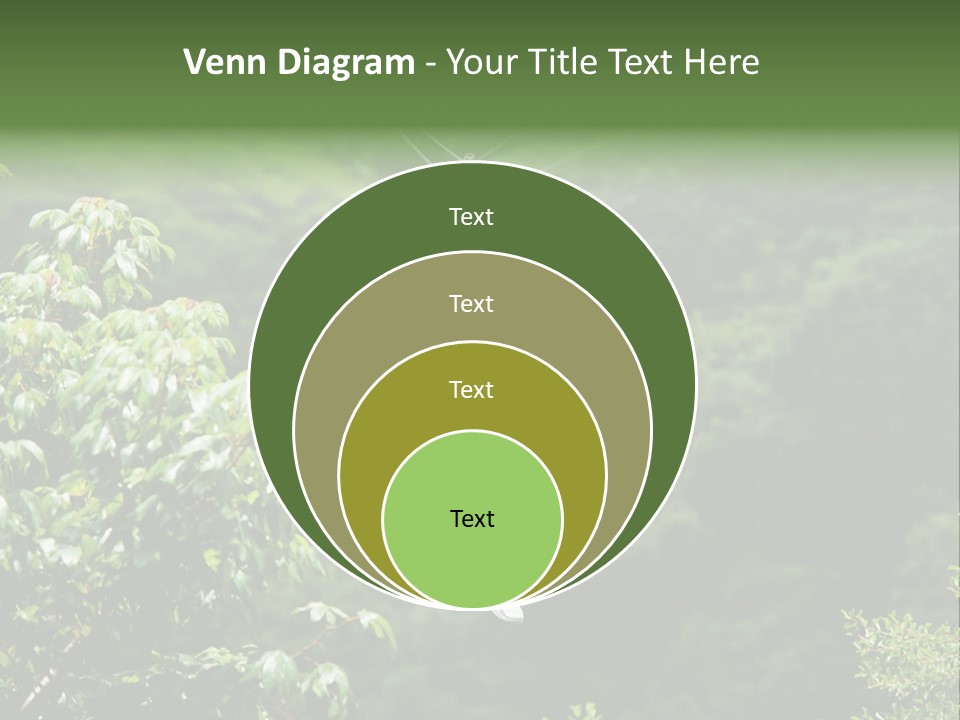 Costa Zipwire Aerial PowerPoint Template