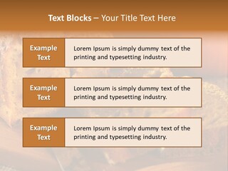 Sweet Food Home Made PowerPoint Template