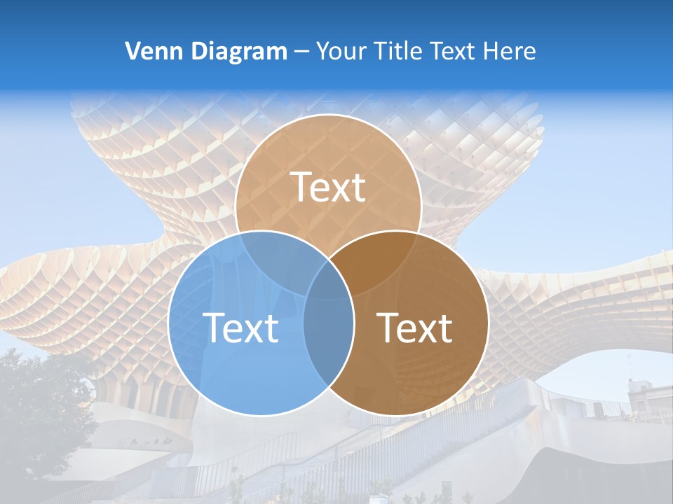 Mayer Structure Nobody PowerPoint Template