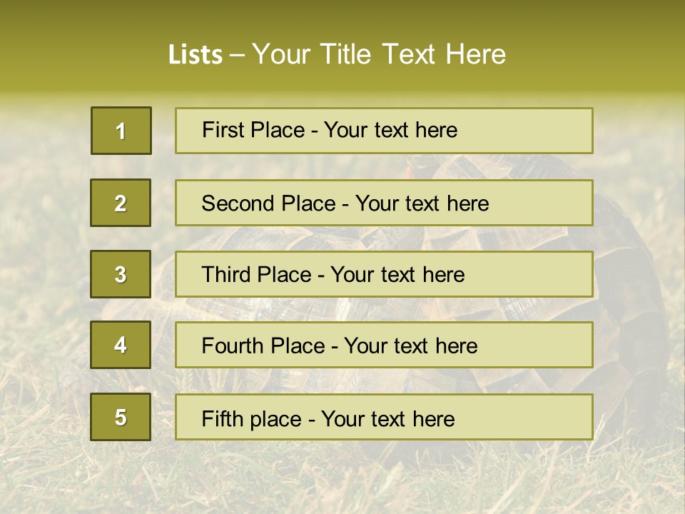 Tortoise Herpetology Turtle PowerPoint Template