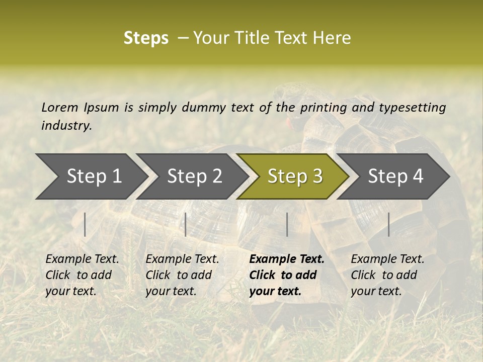 Tortoise Herpetology Turtle PowerPoint Template