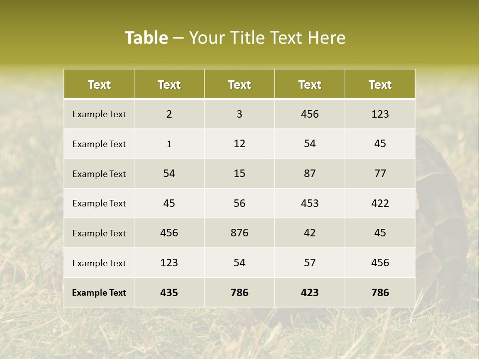 Tortoise Herpetology Turtle PowerPoint Template