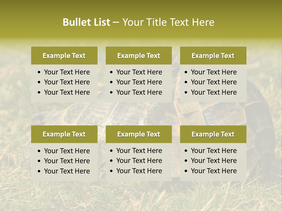 Tortoise Herpetology Turtle PowerPoint Template