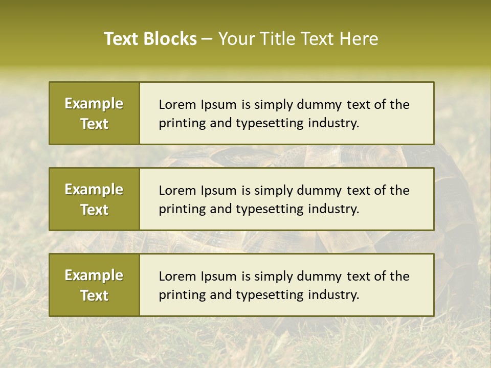 Tortoise Herpetology Turtle PowerPoint Template