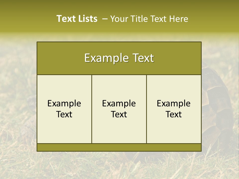 Tortoise Herpetology Turtle PowerPoint Template