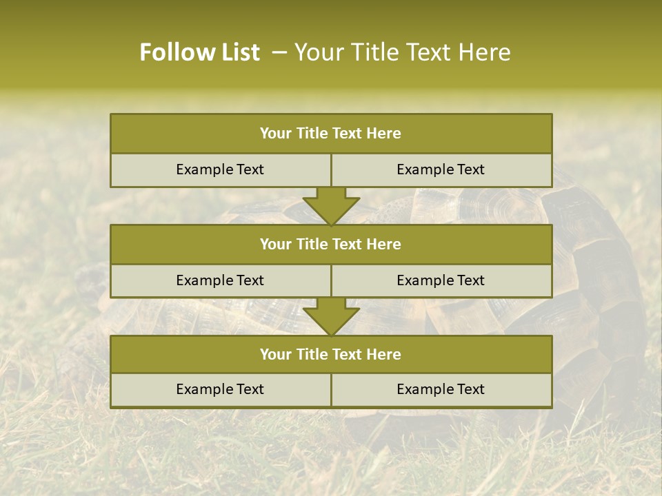 Tortoise Herpetology Turtle PowerPoint Template