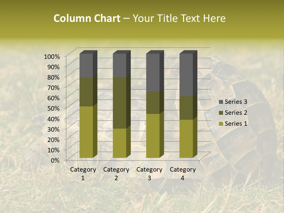 Tortoise Herpetology Turtle PowerPoint Template