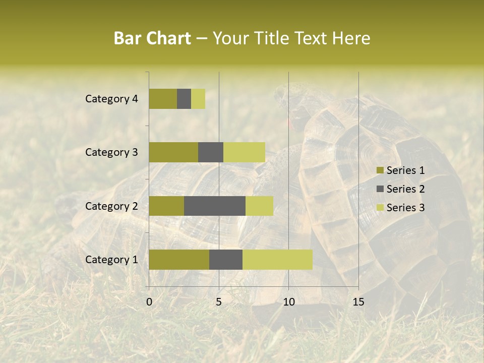 Tortoise Herpetology Turtle PowerPoint Template