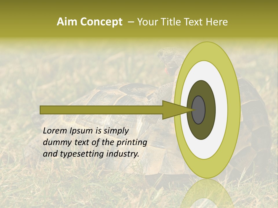 Tortoise Herpetology Turtle PowerPoint Template