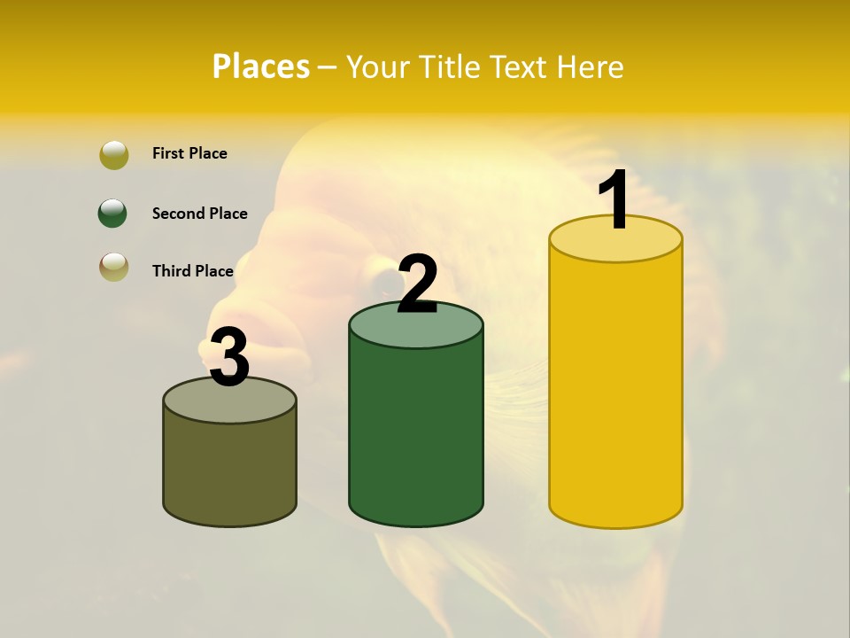 Tropical Wildlife Light PowerPoint Template