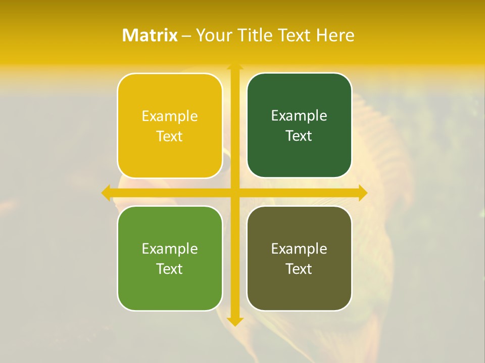 Tropical Wildlife Light PowerPoint Template