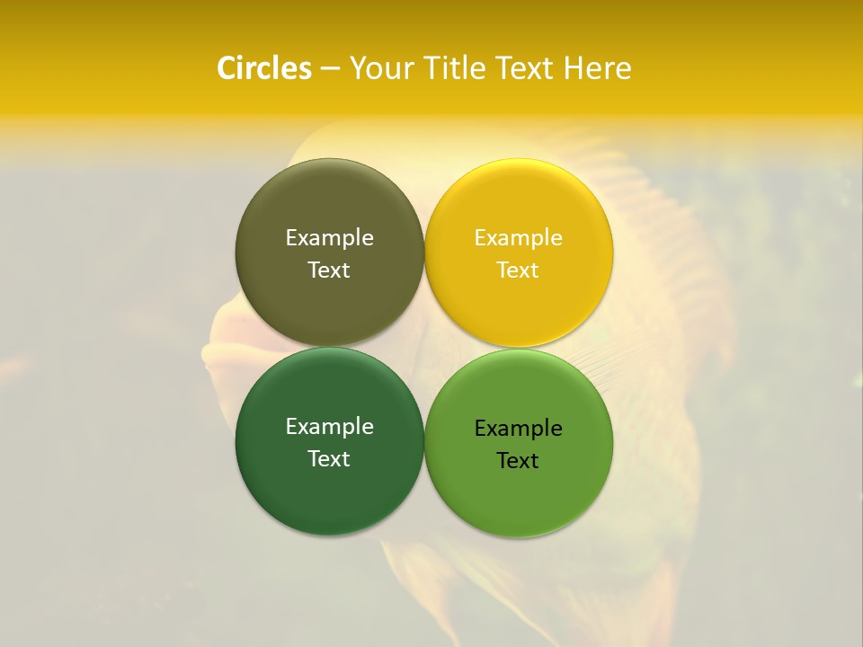 Tropical Wildlife Light PowerPoint Template