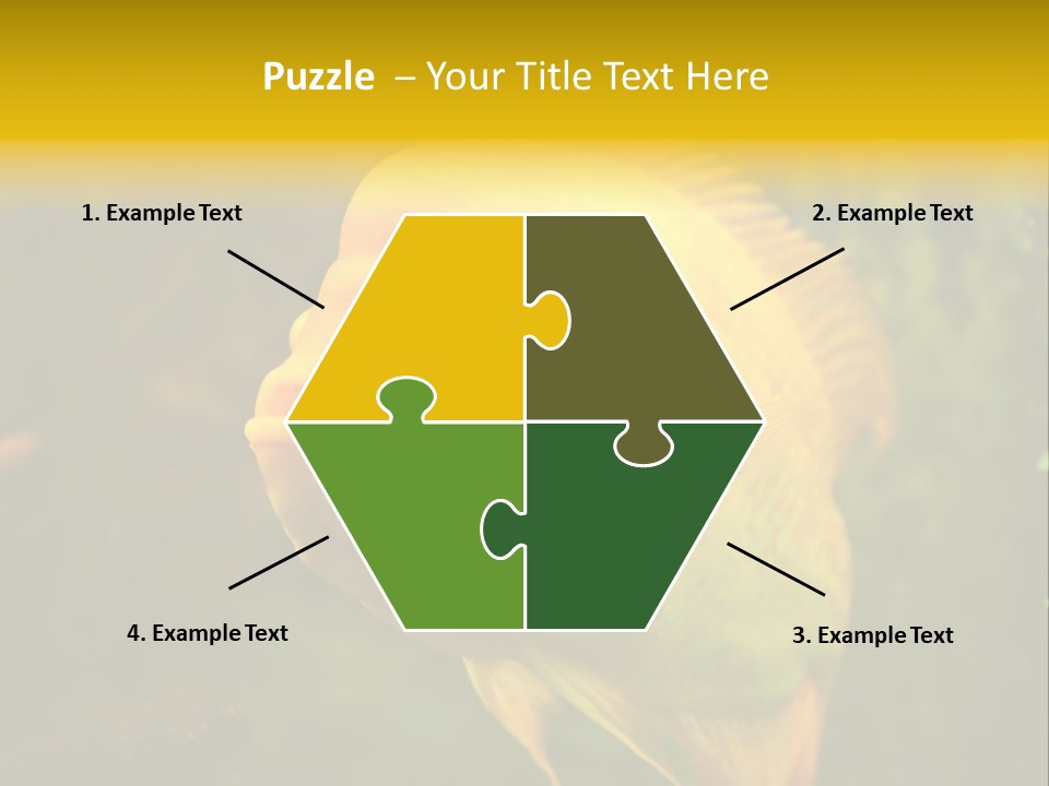 Tropical Wildlife Light PowerPoint Template