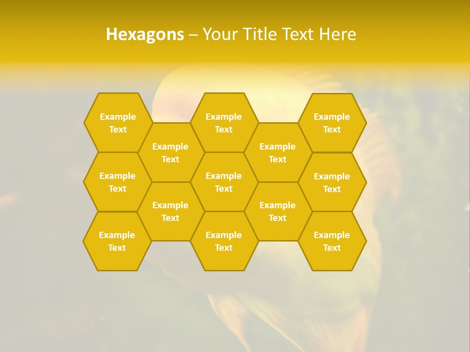 Tropical Wildlife Light PowerPoint Template