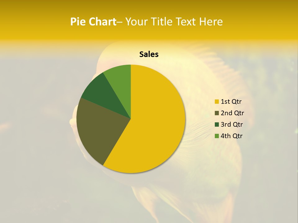 Tropical Wildlife Light PowerPoint Template