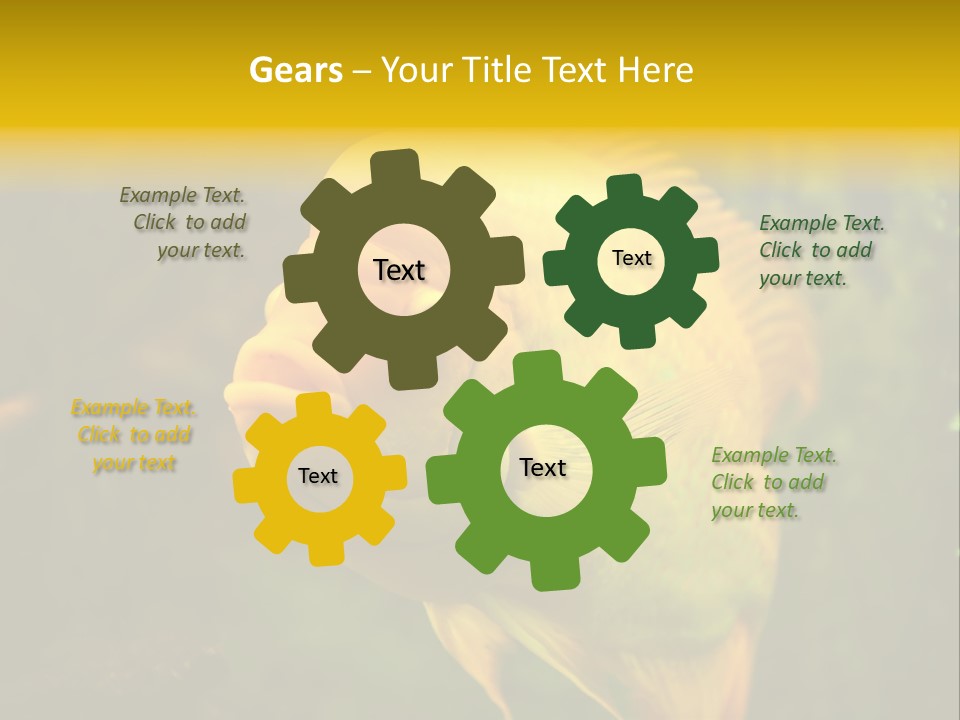 Tropical Wildlife Light PowerPoint Template