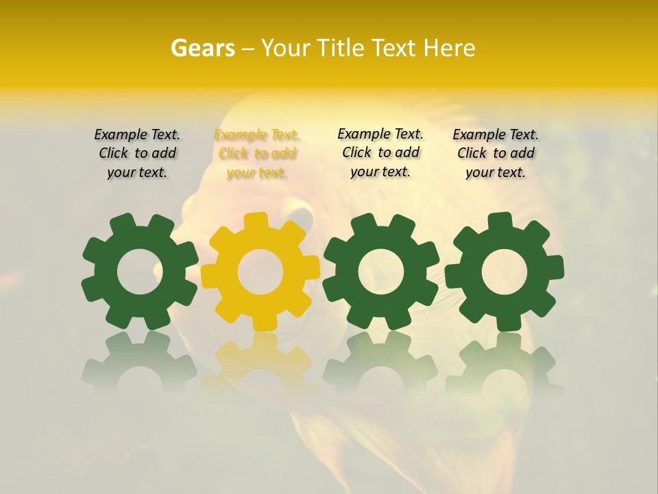 Tropical Wildlife Light PowerPoint Template