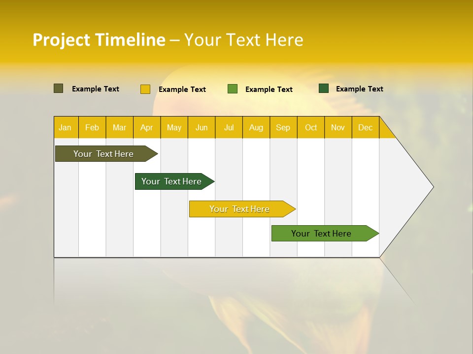 Tropical Wildlife Light PowerPoint Template