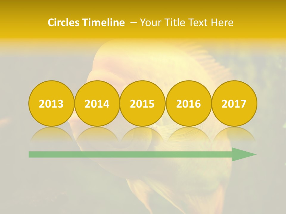 Tropical Wildlife Light PowerPoint Template