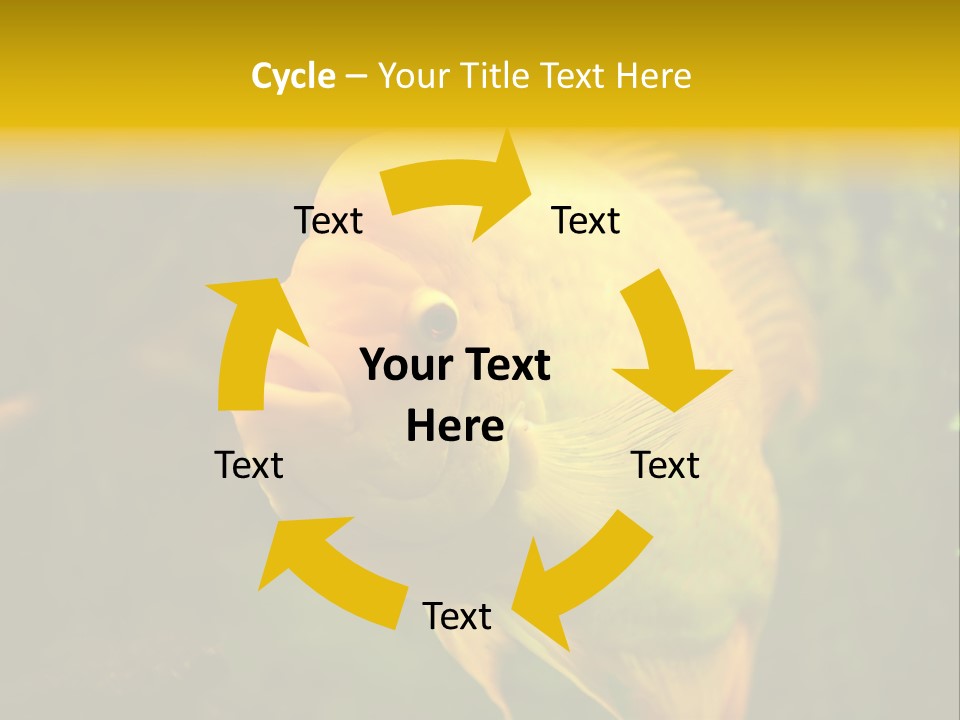 Tropical Wildlife Light PowerPoint Template