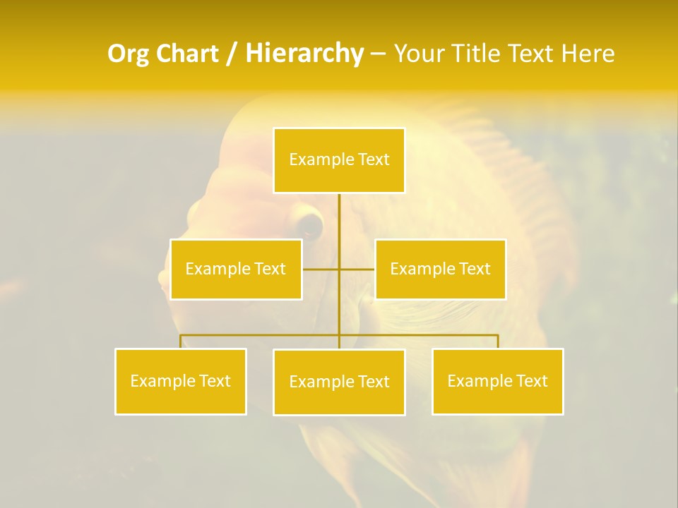 Tropical Wildlife Light PowerPoint Template