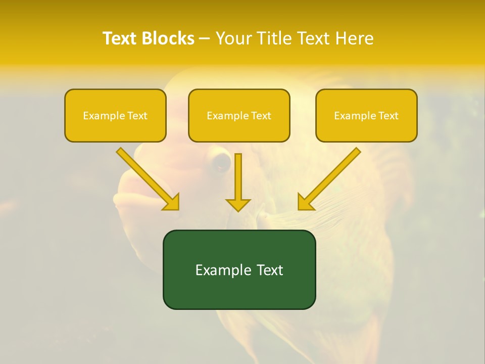 Tropical Wildlife Light PowerPoint Template