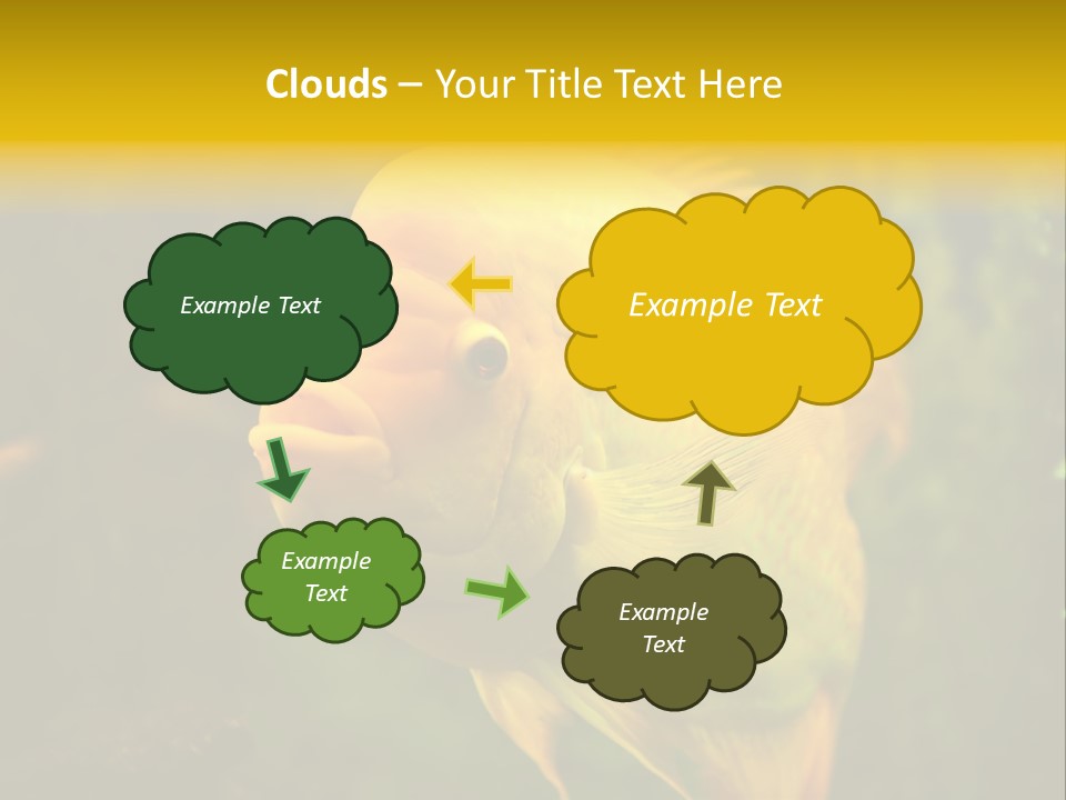 Tropical Wildlife Light PowerPoint Template
