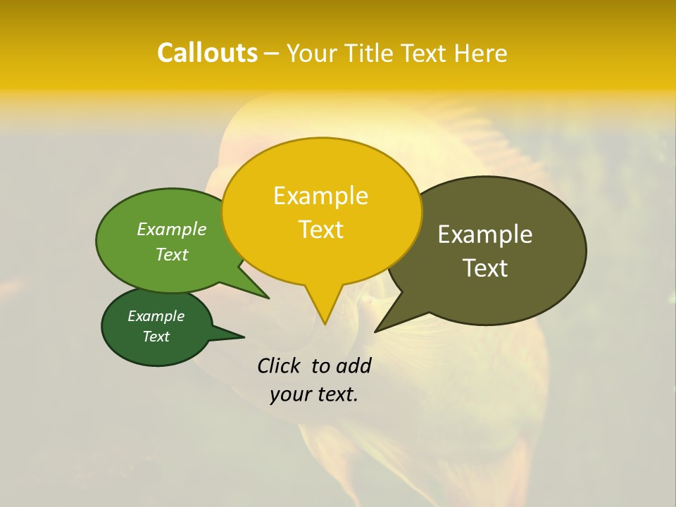 Tropical Wildlife Light PowerPoint Template