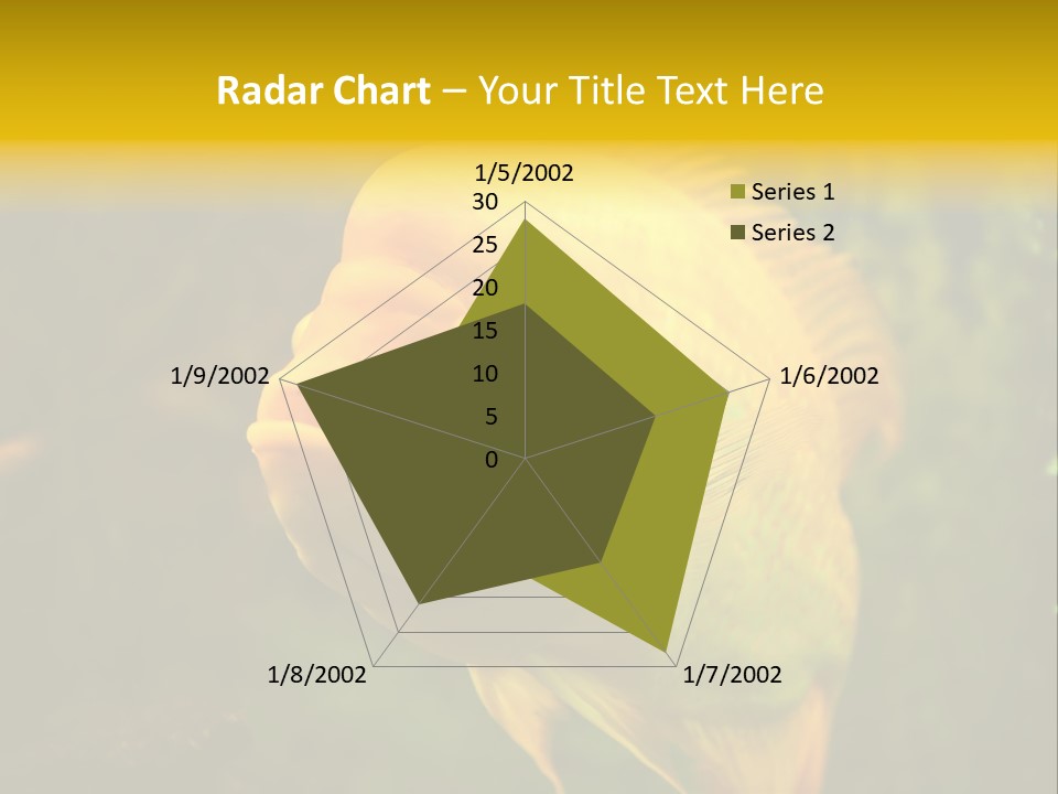 Tropical Wildlife Light PowerPoint Template