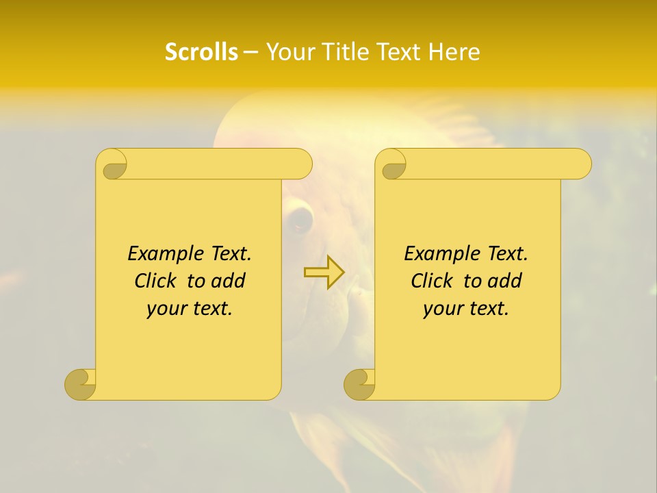 Tropical Wildlife Light PowerPoint Template