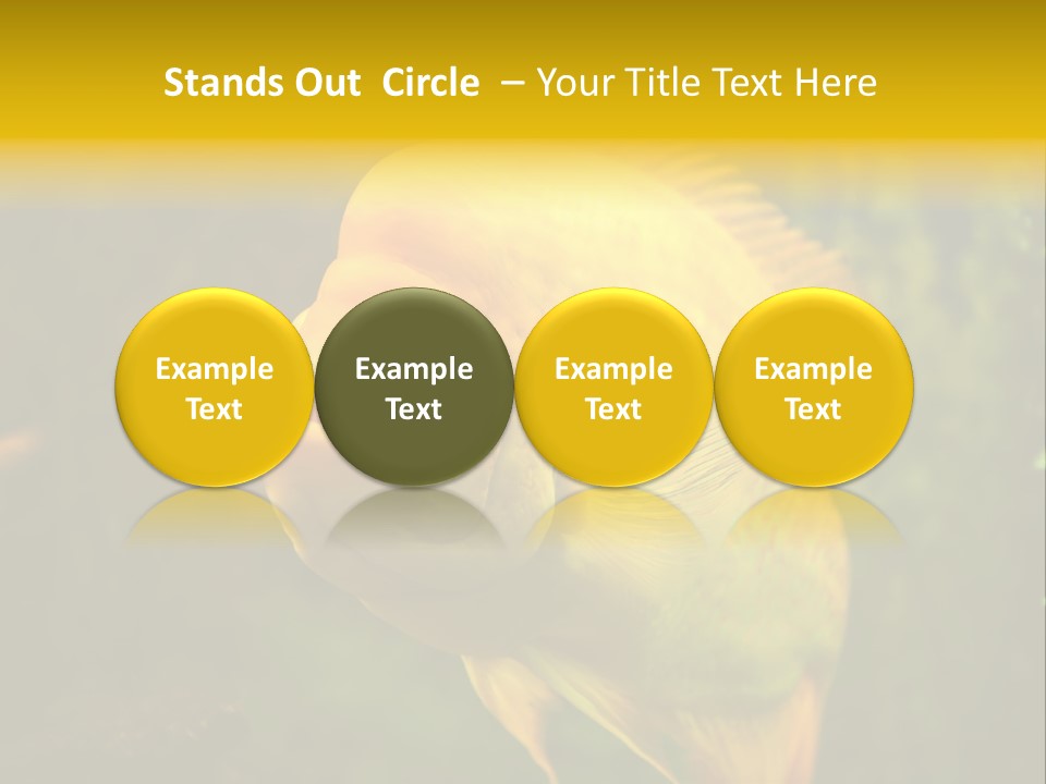 Tropical Wildlife Light PowerPoint Template