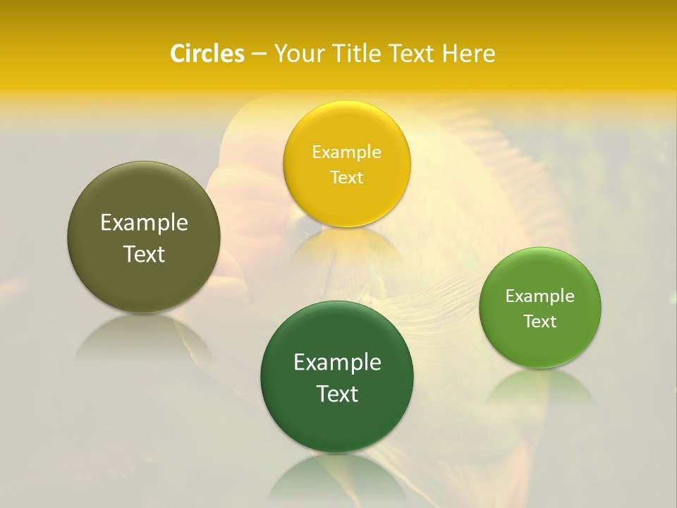 Tropical Wildlife Light PowerPoint Template