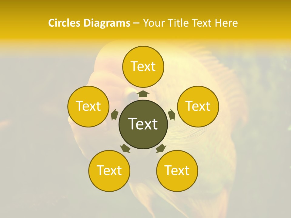 Tropical Wildlife Light PowerPoint Template