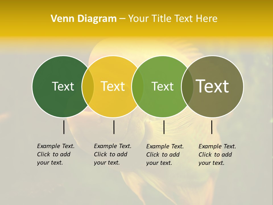 Tropical Wildlife Light PowerPoint Template