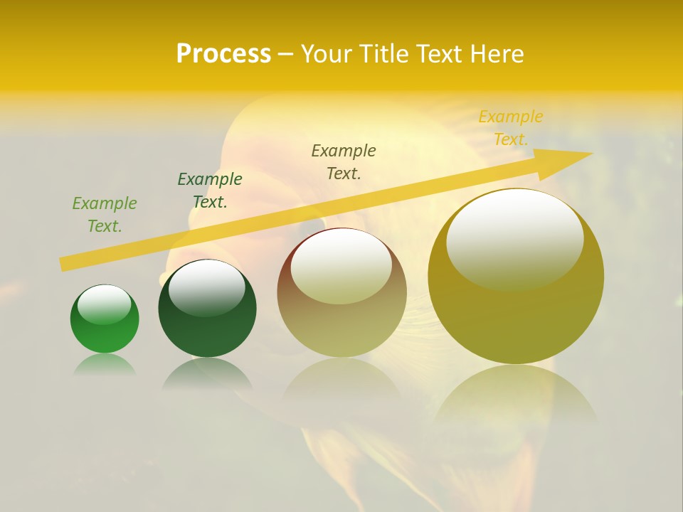 Tropical Wildlife Light PowerPoint Template