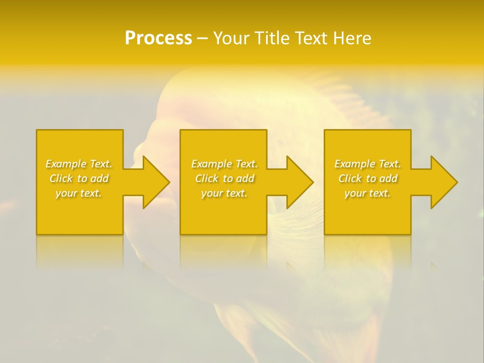 Tropical Wildlife Light PowerPoint Template