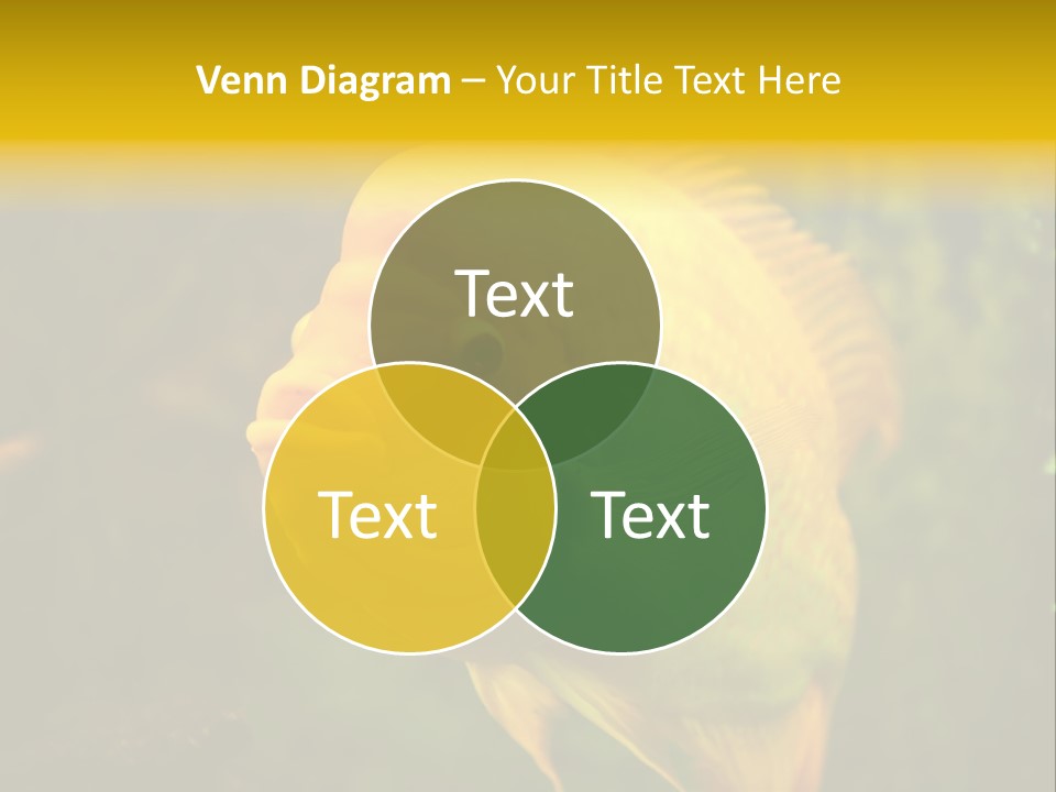 Tropical Wildlife Light PowerPoint Template