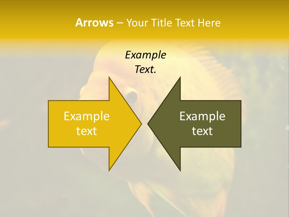 Tropical Wildlife Light PowerPoint Template