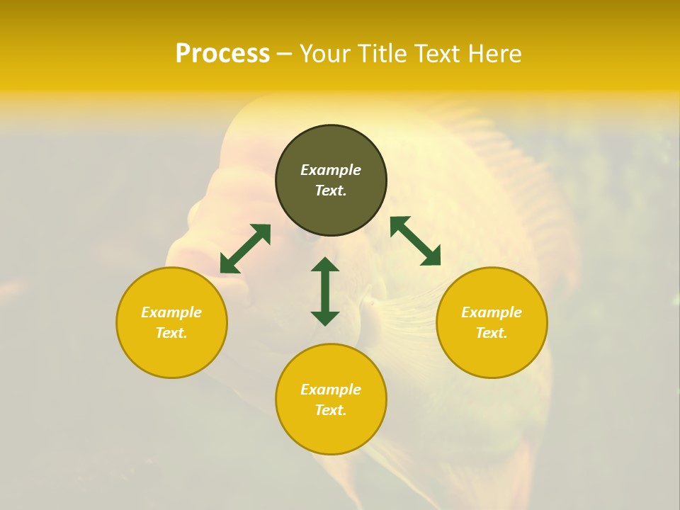 Tropical Wildlife Light PowerPoint Template