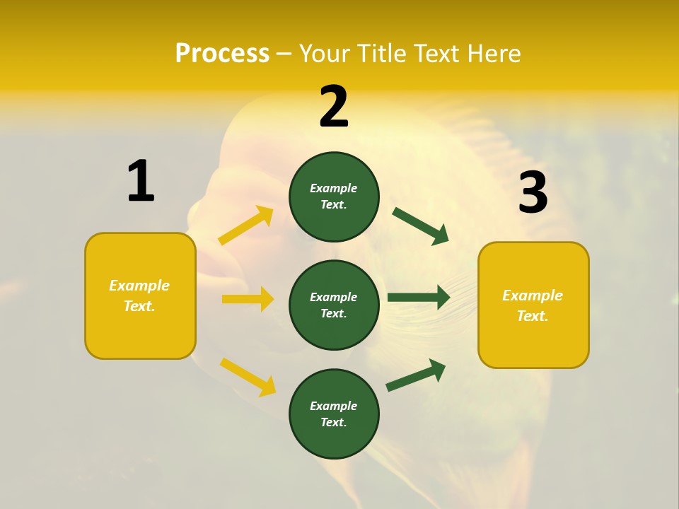 Tropical Wildlife Light PowerPoint Template