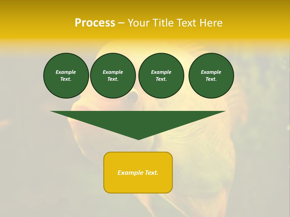 Tropical Wildlife Light PowerPoint Template